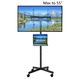 TV Cart